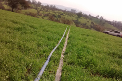 光伏扬水系统为燕麦生长提供充足水源